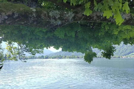 Tegernsee Ausflug PVÖ OG Fieberbrunn 31.5.23 Bild 2