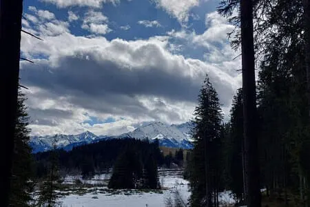 Wasenmoorrunde Pass Thurn PVÖ Og. Going 12.3.25 Bild 17