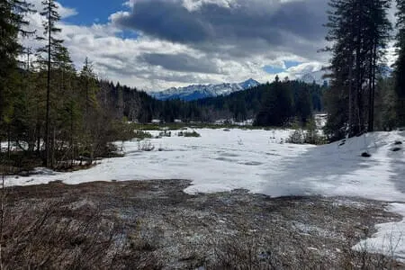 Wasenmoorrunde Pass Thurn PVÖ Og. Going 12.3.25 Bild 19