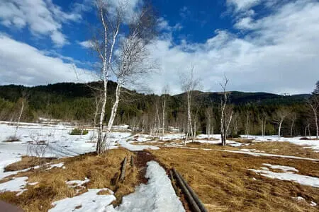 Wasenmoorrunde Pass Thurn PVÖ Og. Going 12.3.25 Bild 24