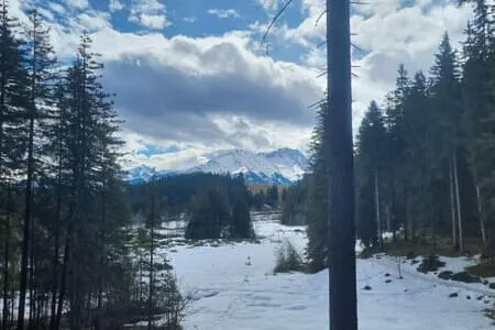 Wasenmoorrunde Pass Thurn PVÖ Og. Going 12.3.25 Bild 2