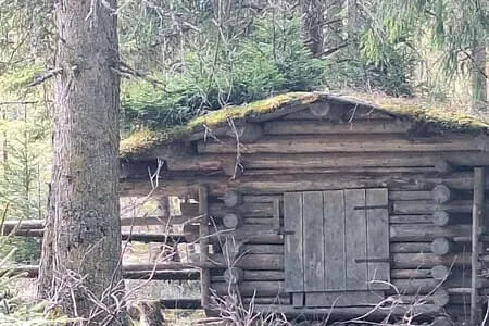 Wasenmoorrunde Pass Thurn PVÖ Og. Going 12.3.25 Bild 6