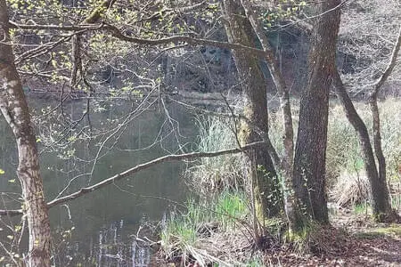 Wanderung Längs-Hechtsee OG. Going 15.4.25 Bild 14