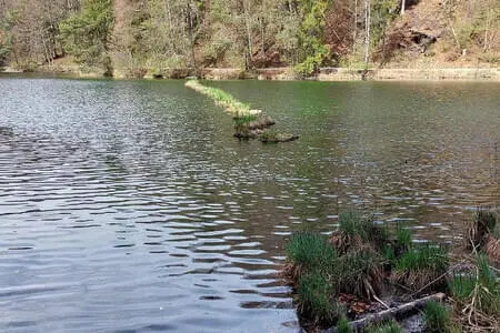 Wanderung Längs-Hechtsee OG. Going 15.4.25 Bild 15