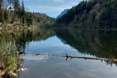 Wanderung Längs-Hechtsee OG. Going 15.4.25 Bild 4