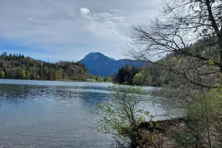Wanderung Längs-Hechtsee OG. Going 15.4.25 Bild 7