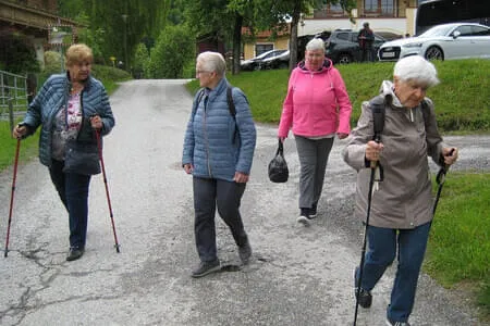 Tagesausflug PVÖ -OG Kirchberg - Goldegg Bild 9