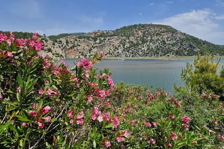 Frühjahrstreffen - Marmaris 6. - 13.05.25 Bild 107