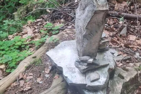 Finkenberg - Wanderung PVÖ Going 11.06.25 Bild 28