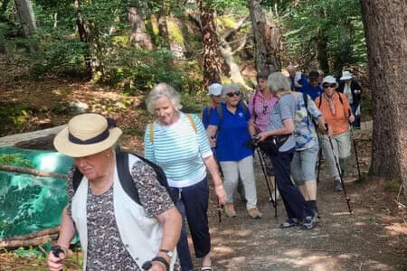 Finkenberg - Wanderung PVÖ Going 11.06.25 Bild 32