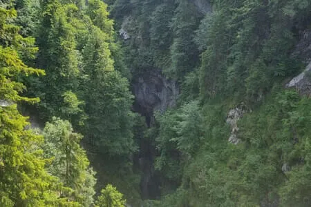 Finkenberg - Wanderung PVÖ Going 11.06.25 Bild 33