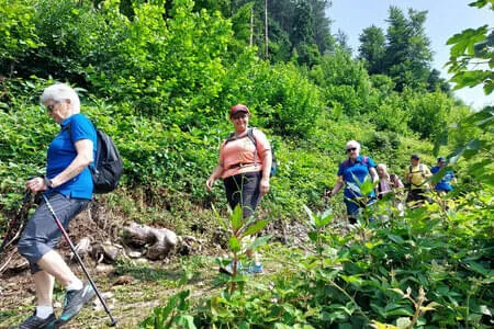 Finkenberg - Wanderung PVÖ Going 11.06.25 Bild 44