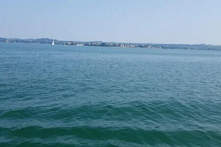 Bregenz Bodenseefahrt PVÖ - OG Kirchberg 11.6.25 Bild 33