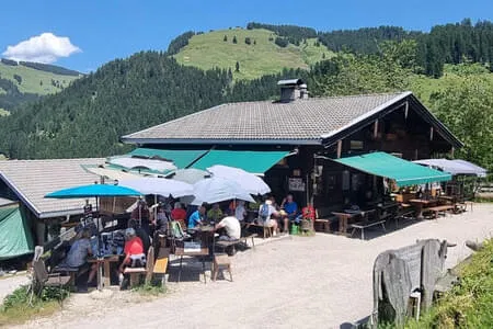 Höhenw. St. Johann&Kirchdorf -Hohe Salve 25.6.25 Bild 20