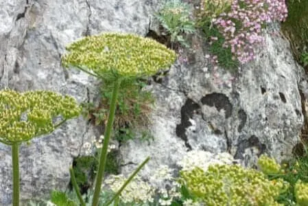 Kegelausflug Wendelstein Og . Waidring Bild 17