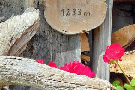 Höhlensteinerhaus Gh. Schneeberg Jochalm OG. Going Bild 21