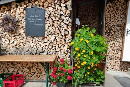 Höhlensteinerhaus Gh. Schneeberg Jochalm OG. Going Bild 25