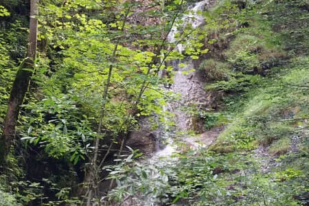 Höhlensteinerhaus Gh. Schneeberg Jochalm OG. Going Bild 6