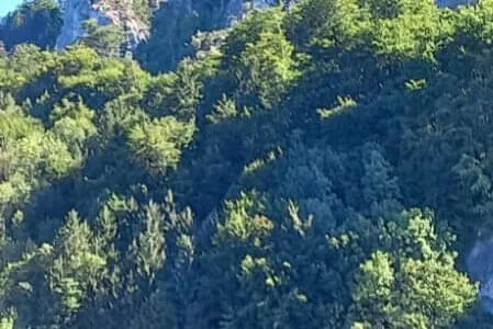 Salzkammerguut OG. Waidring Bild 4