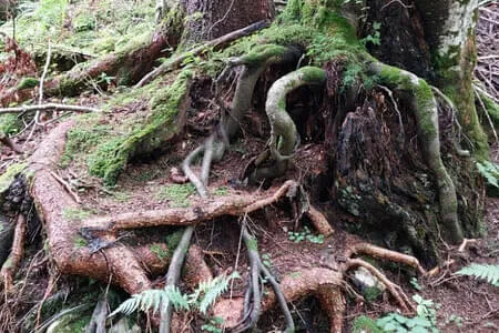 Brixenbachalm PVÖ Going Bild 10