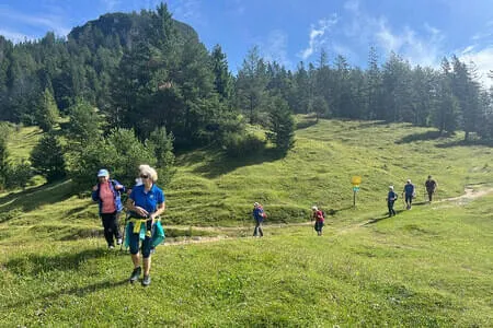 Brixenbachalm PVÖ Going Bild 3