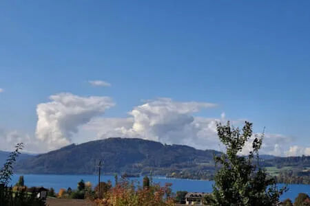 Goldener Herbstausflug 16.10.25 Bild 9