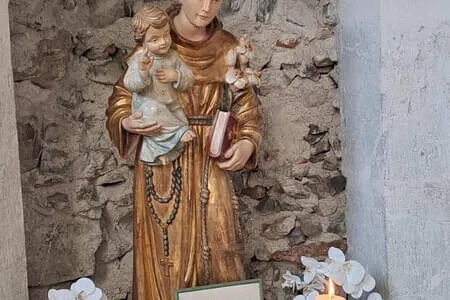 Goldener Herbstausflug 16.10.25 Bild 34