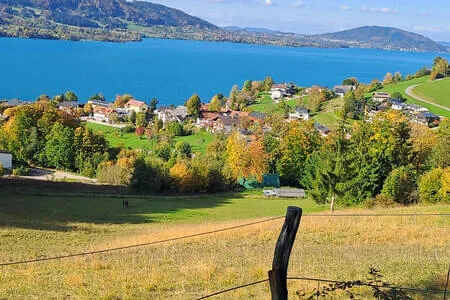 Goldener Herbstausflug 16.10.25 Bild 36