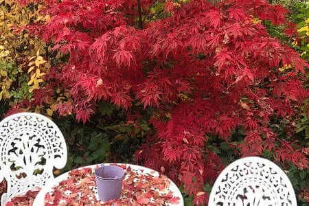 Goldener Herbstausflug 16.10.25 Bild 38