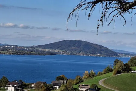 Goldener Herbstausflug 16.10.25 Bild 5