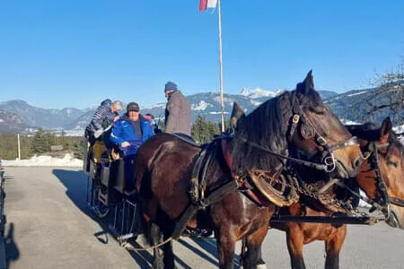 Wanderung&Kutschenfahrt PVÖ Going 20.1.26 Bild 19
