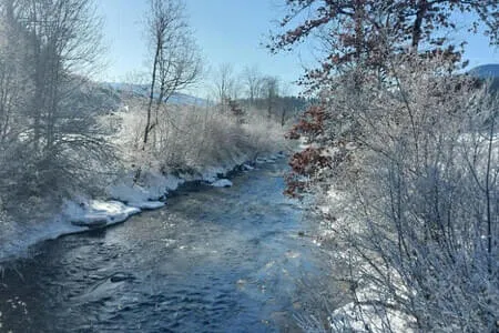 Wanderung&Kutschenfahrt PVÖ Going 20.1.26 Bild 27