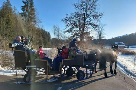 Wanderung&Kutschenfahrt PVÖ Going 20.1.26 Bild 5