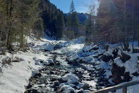 PVÖ OG Wanderung 3.2.26 Bild 14