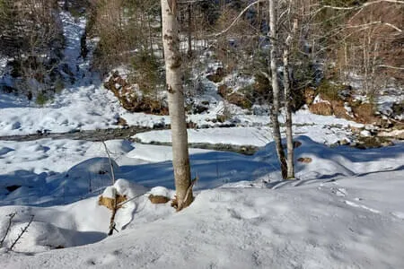 PVÖ OG Wanderung 3.2.26 Bild 15