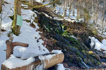 PVÖ OG Wanderung 3.2.26 Bild 19