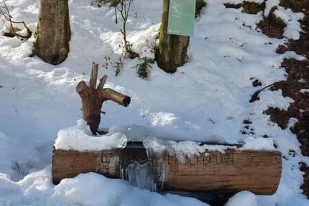 PVÖ OG Wanderung 3.2.26 Bild 20