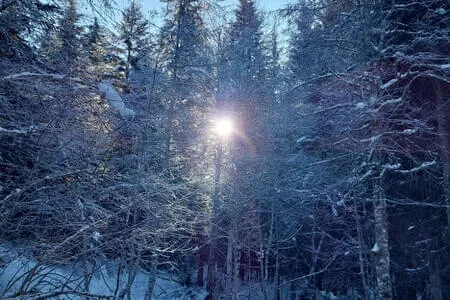 PVÖ OG Wanderung 3.2.26 Bild 27