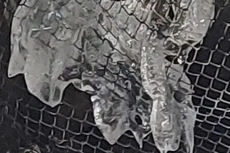 PVÖ OG Wanderung 3.2.26 Bild 2