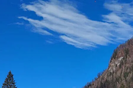 PVÖ OG Wanderung 3.2.26 Bild 5