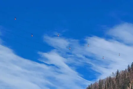 PVÖ OG Wanderung 3.2.26 Bild 6