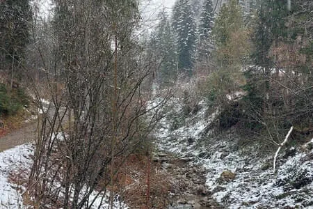 Blaiken - Kneippweg OG. Going 17.3.26 Bild 7