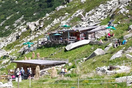 Zillergrund-Bärenbadalm - PVÖ Going Bild 21