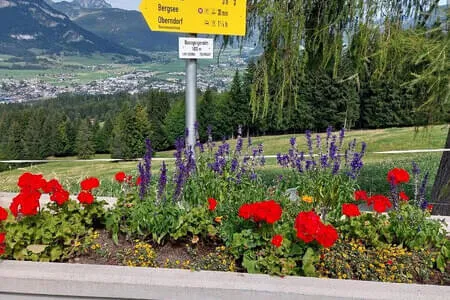PVÖ Going- Müllneralm zur Bassgeigeralm 07.9.26 Bild 2