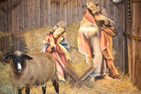 04.12. - Christkindlmarkt Altötting Bild 7